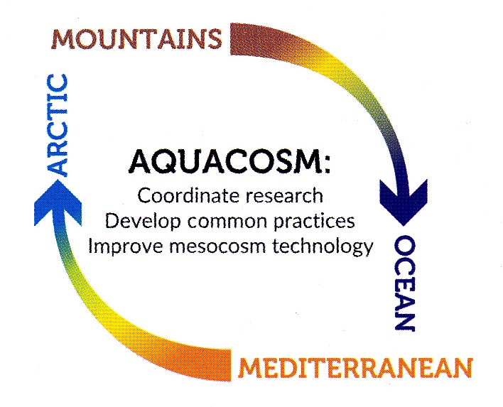 aquacosm-loop